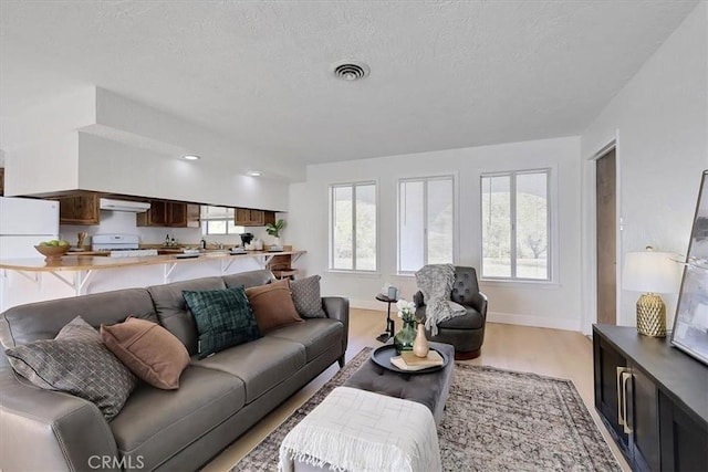 living room featuring a textured ceiling, light wood-type flooring, and sink