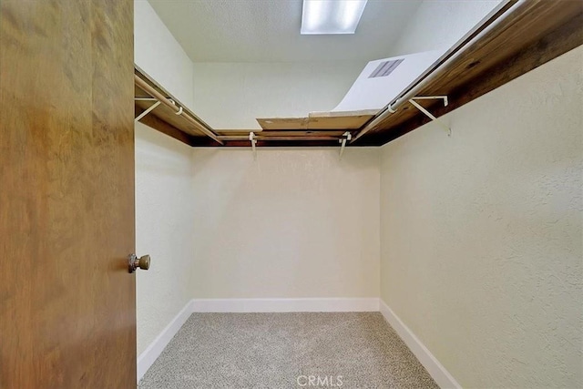 spacious closet featuring carpet