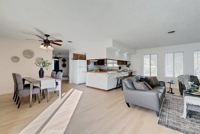 living room with ceiling fan and light wood-type flooring