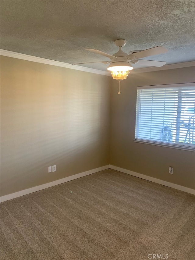 unfurnished room with carpet floors, crown molding, and a textured ceiling