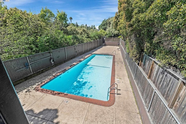 view of swimming pool