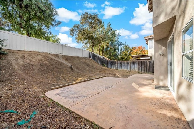 view of yard featuring a patio