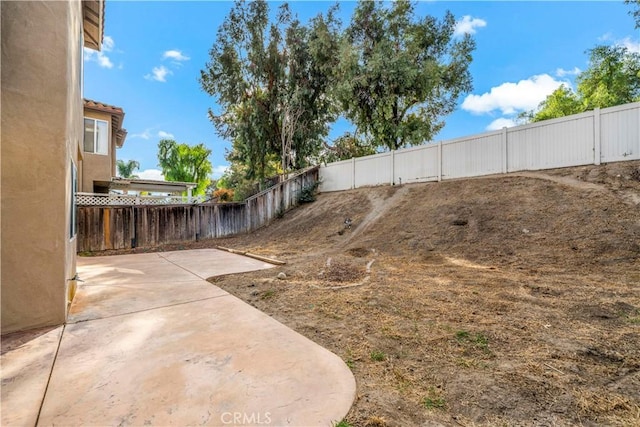 view of yard with a patio area