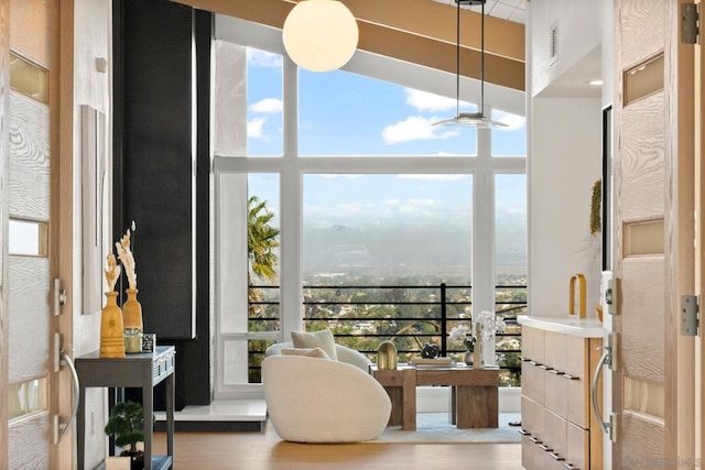 sitting room with wood-type flooring and a wealth of natural light