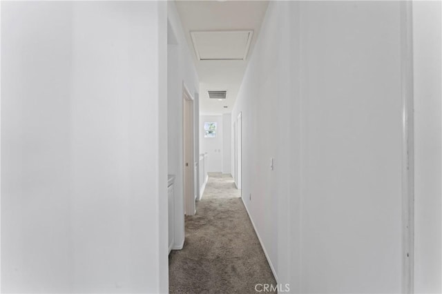 corridor with carpet flooring