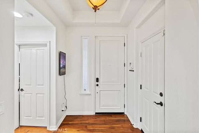 entryway featuring a raised ceiling and wood-type flooring