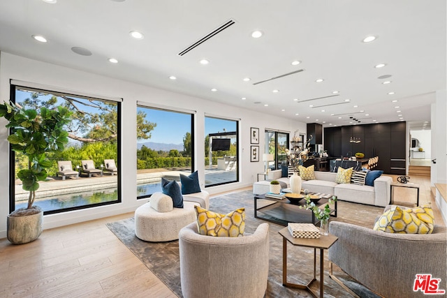 living room with light hardwood / wood-style flooring