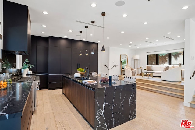 kitchen with a large island, sink, light hardwood / wood-style flooring, pendant lighting, and high end range