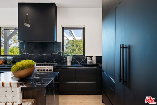 kitchen featuring tasteful backsplash, high end refrigerator, light hardwood / wood-style floors, and plenty of natural light