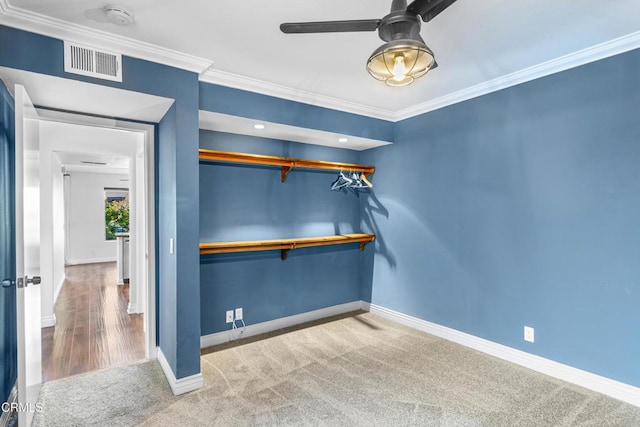 spacious closet featuring carpet flooring and ceiling fan