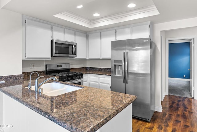 kitchen with sink, kitchen peninsula, a tray ceiling, white cabinets, and appliances with stainless steel finishes