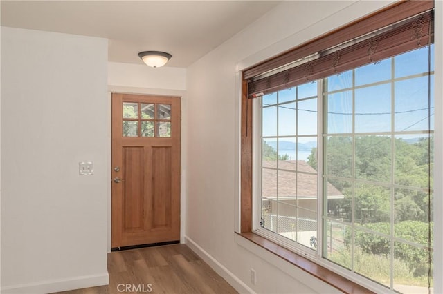 foyer with light hardwood / wood-style floors