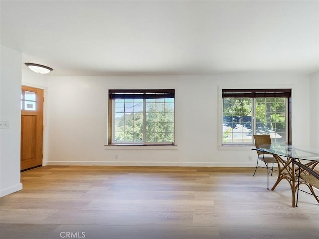 dining room with light hardwood / wood-style floors