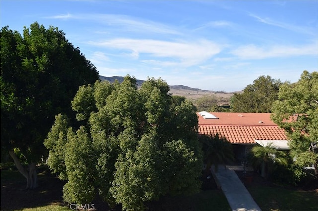 bird's eye view featuring a mountain view