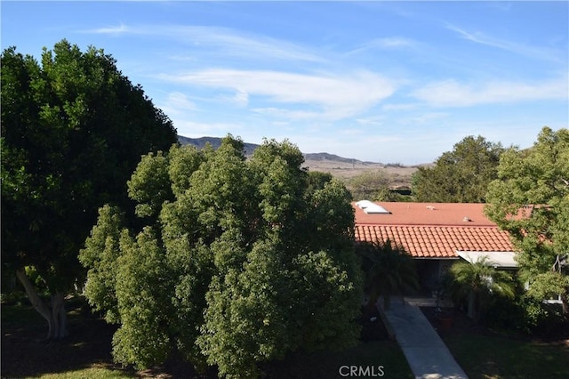 5362 Algarrobo Unit 2O, Laguna Woods, CA 92637 - mountain view