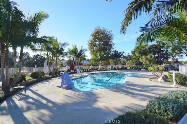 view of pool featuring a patio area