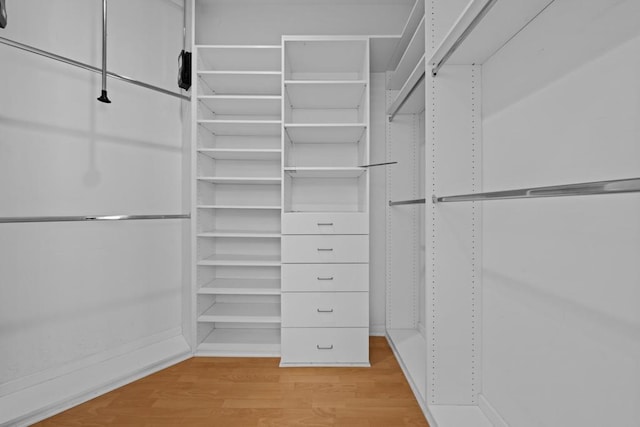 walk in closet with light wood-type flooring