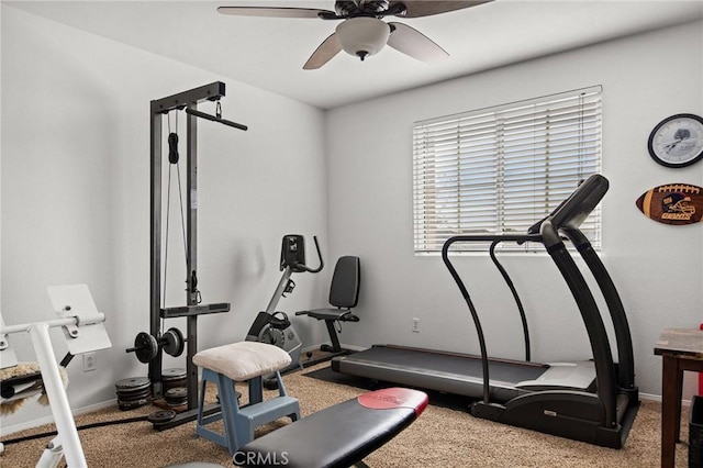 exercise area with ceiling fan and carpet