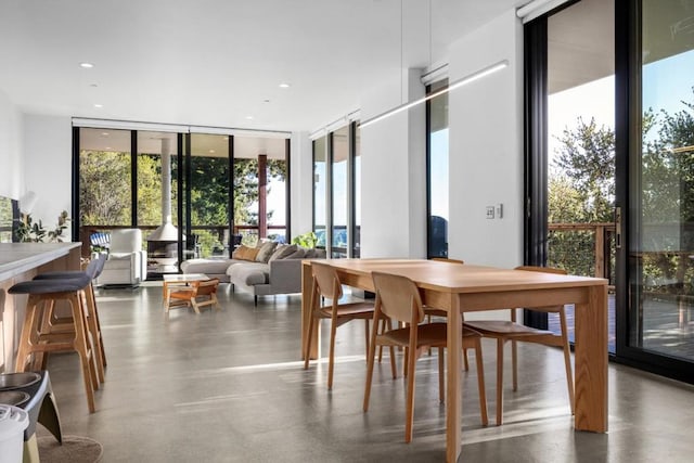 interior space with plenty of natural light, concrete floors, and a wall of windows