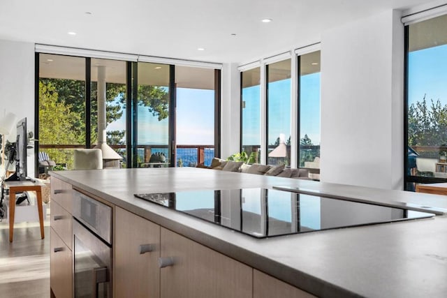 kitchen featuring black electric cooktop and a wealth of natural light