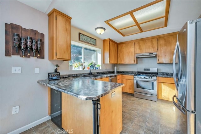 kitchen with kitchen peninsula, sink, and appliances with stainless steel finishes