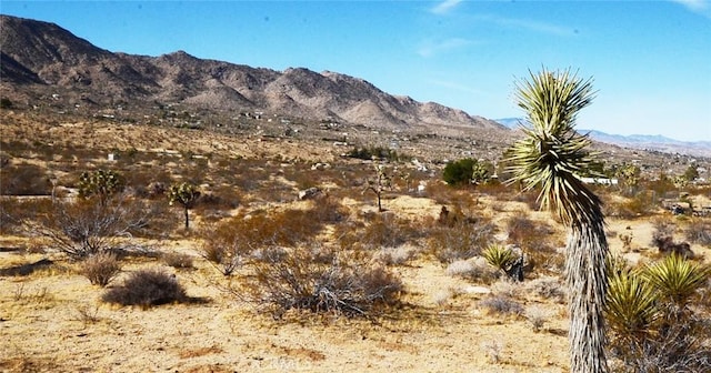 Listing photo 3 for 8675 Tortuga Trl, Joshua Tree CA 92252