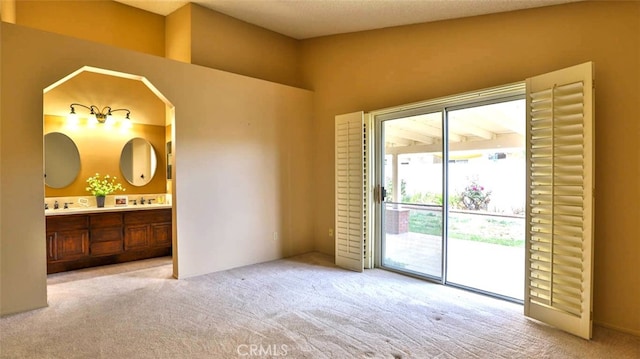 interior space with light carpet and sink