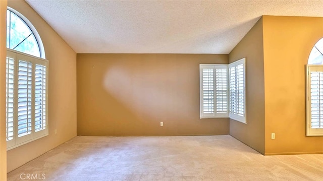 empty room featuring light colored carpet and a textured ceiling