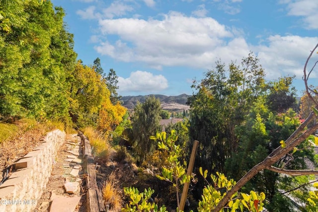 property view of mountains