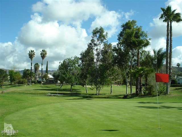 view of property's community with a lawn