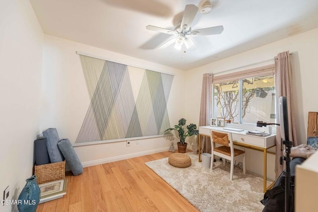 office space featuring ceiling fan and light hardwood / wood-style flooring