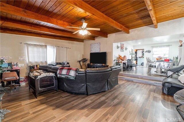 living room with beam ceiling, ceiling fan, wood ceiling, and wood-type flooring