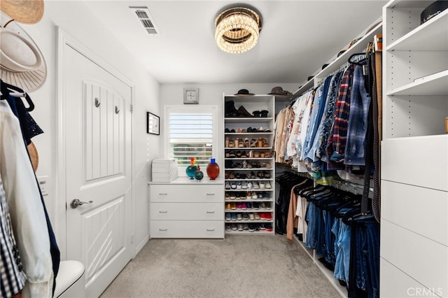 spacious closet with light carpet