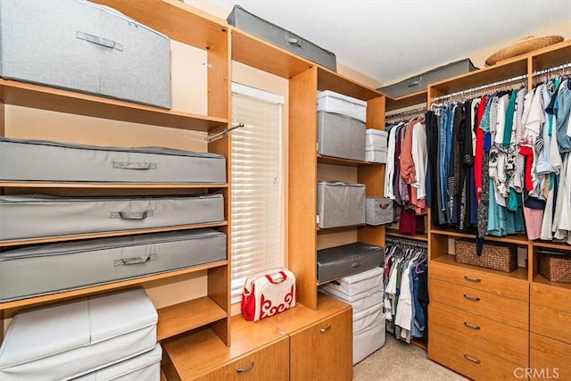 walk in closet featuring light colored carpet