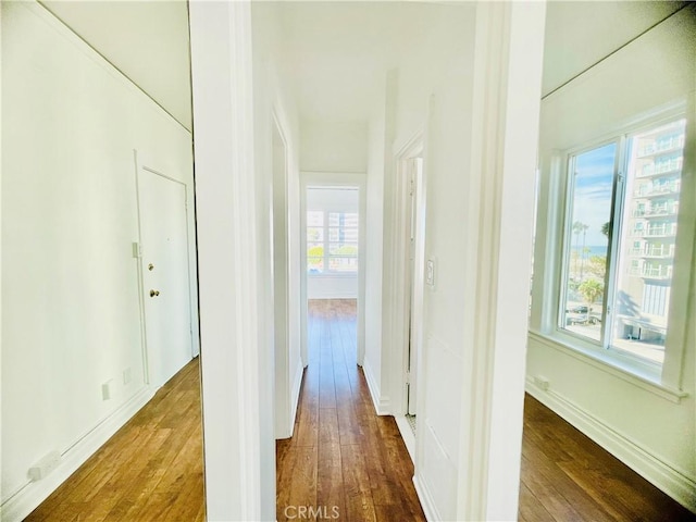 corridor featuring plenty of natural light and dark hardwood / wood-style flooring