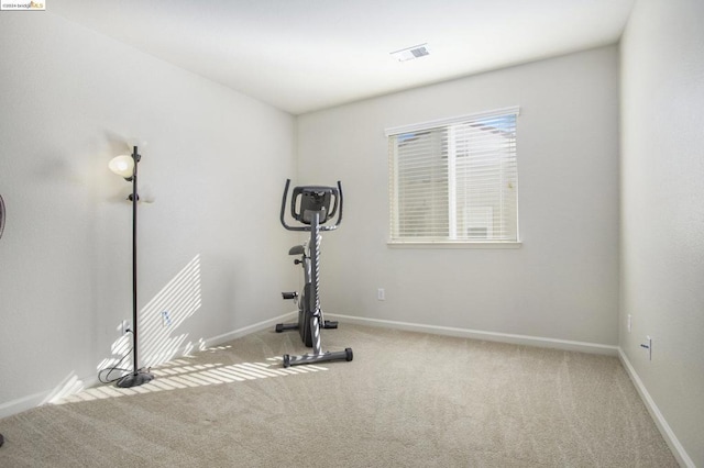 exercise area with carpet floors