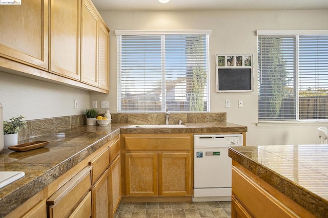 kitchen with dishwasher and sink