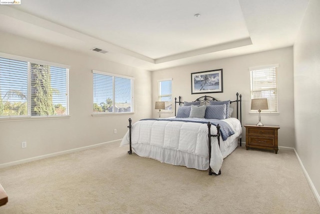 bedroom featuring light colored carpet, a raised ceiling, and multiple windows