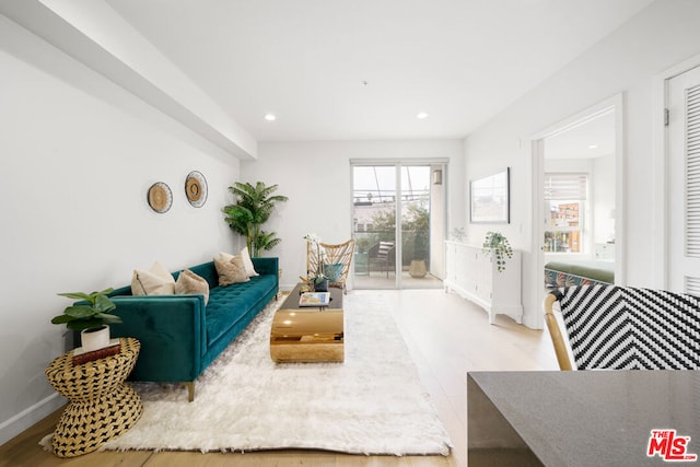 living room with wood-type flooring