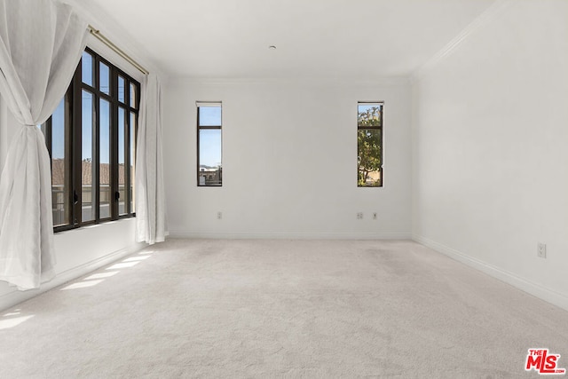 carpeted spare room with ornamental molding