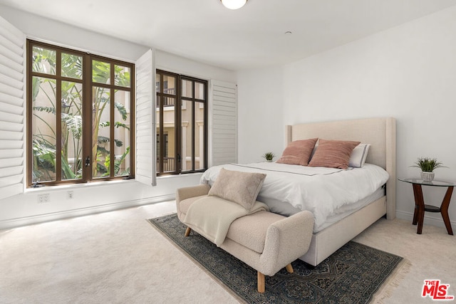 bedroom with carpet