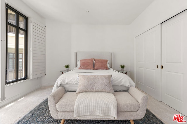 bedroom featuring carpet floors and a closet