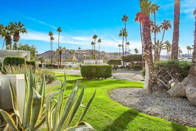 surrounding community featuring a mountain view and a yard