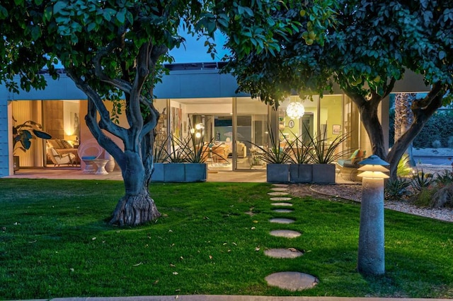 rear view of house featuring a patio area and a yard