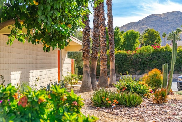 property view of mountains