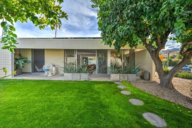 rear view of property with a lawn and a patio