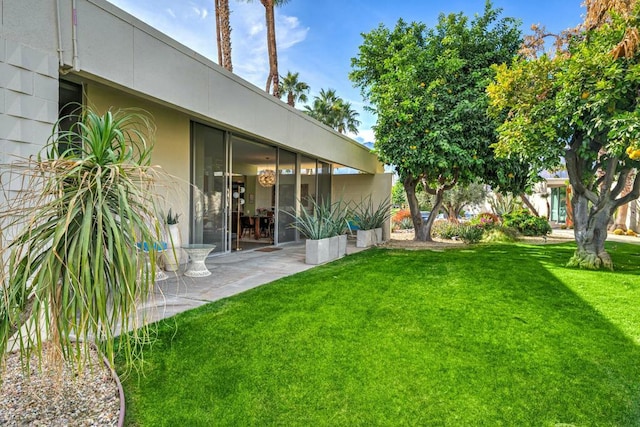 view of yard with a patio