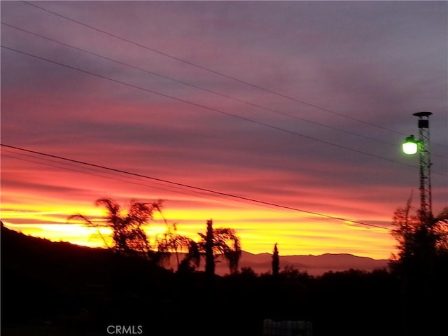 view of nature at dusk