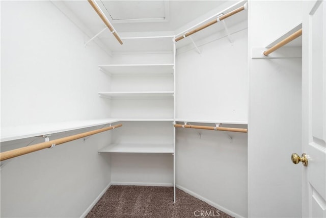 spacious closet featuring dark carpet