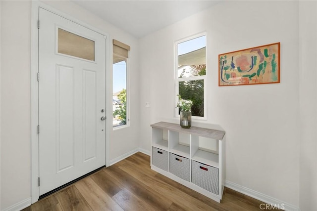 entrance foyer with plenty of natural light and hardwood / wood-style floors